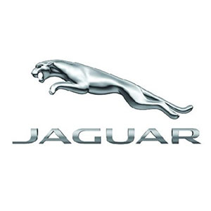 Suitable for Jaguar